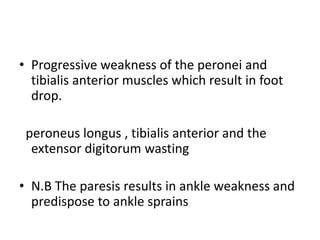 • Progressive weakness of the peronei and
tibialis anterior muscles which result in foot
drop.
peroneus longus , tibialis anterior and the
extensor digitorum wasting
• N.B The paresis results in ankle weakness and
predispose to ankle sprains
 