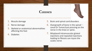 Causes
1. Muscle damage
2. Nerve damage
3. Skeletal or anatomical abnormalities
affecting the foot
4. Diabetes
5. Brain and spinal cord disorders
6. Overgrowth of bone in the spinal
canal Or Tumor/cyst pressing on the
nerve in the knee or spine.
7. Misplaced intramuscular gluteal
injections and repeated injections
leading to fibrosis can injure the
sciatic nerve
 