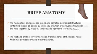 BRIEF ANATOMY
The human foot and ankle are strong and complex mechanical structures
containing exactly 26 bones, 33 joints (20 of which are actively articulated),
and held together by muscles, tendons and ligaments (Forester, 2002).
The foot and ankle receive innervation from branches of the sciatic nerve
which has both sensory and motor branches.
 
