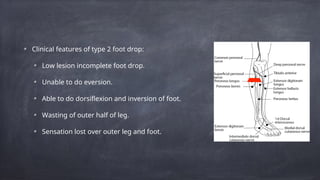 Foot drop and management Medical as well as surgical | PPT