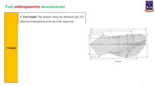 Human Foot Measurement-Foot Measurement.pptx
