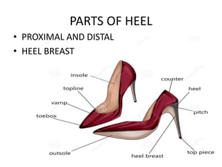 PARTS OF HEEL
• PROXIMAL AND DISTAL
• HEEL BREAST
 