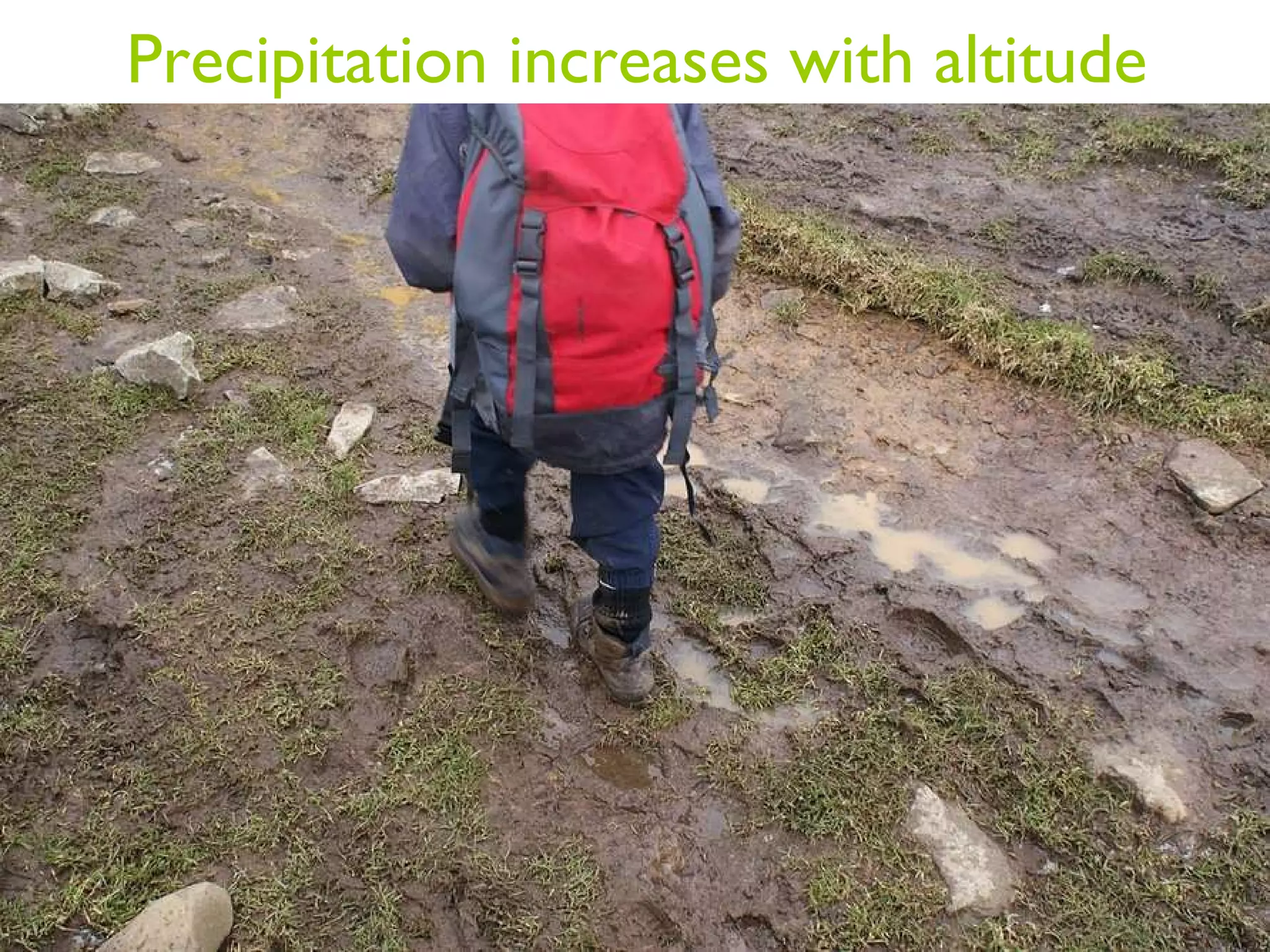 Precipitation increases with altitude 