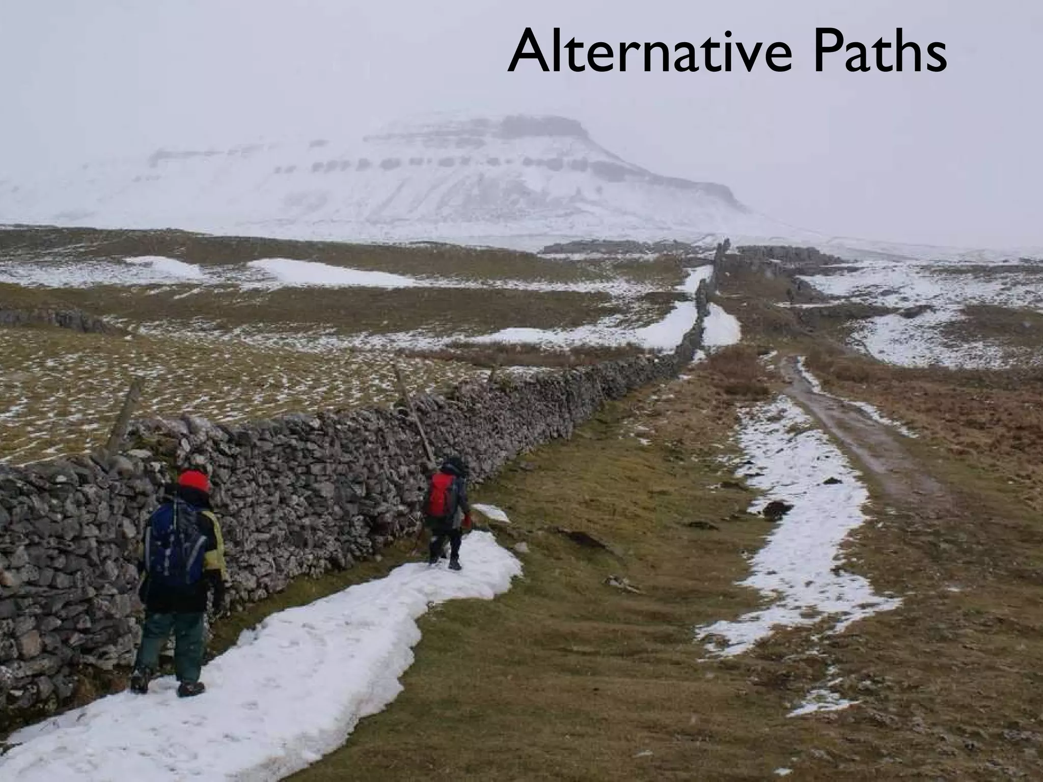 Alternative Paths 