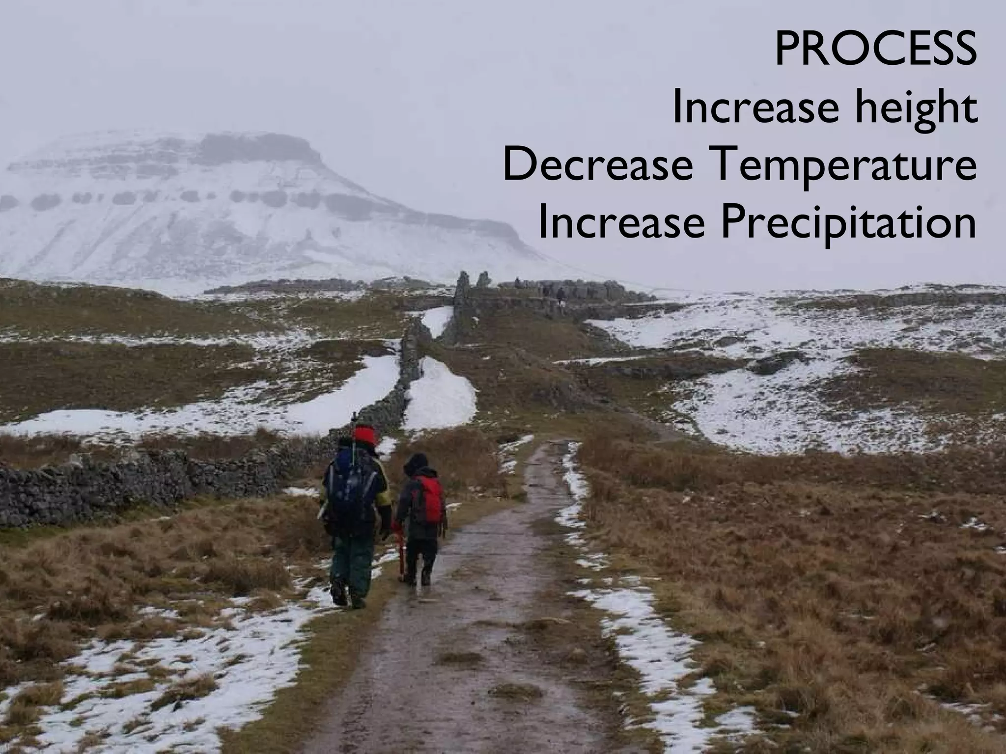 PROCESS Increase height Decrease Temperature Increase Precipitation 
