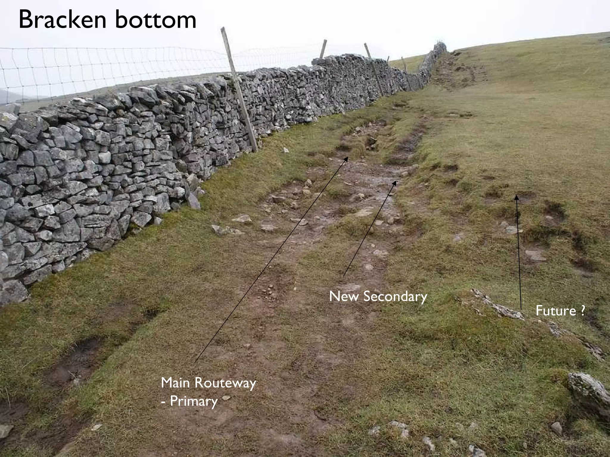 Bracken bottom Main Routeway  - Primary New Secondary Future ? 