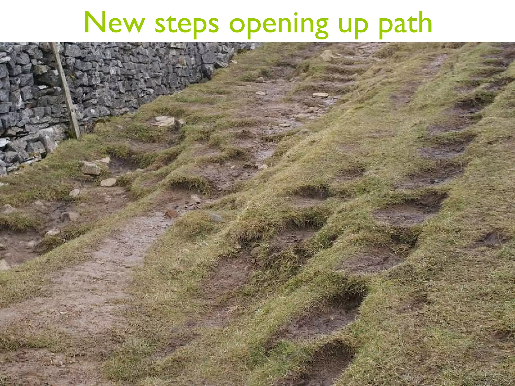 New steps opening up path 