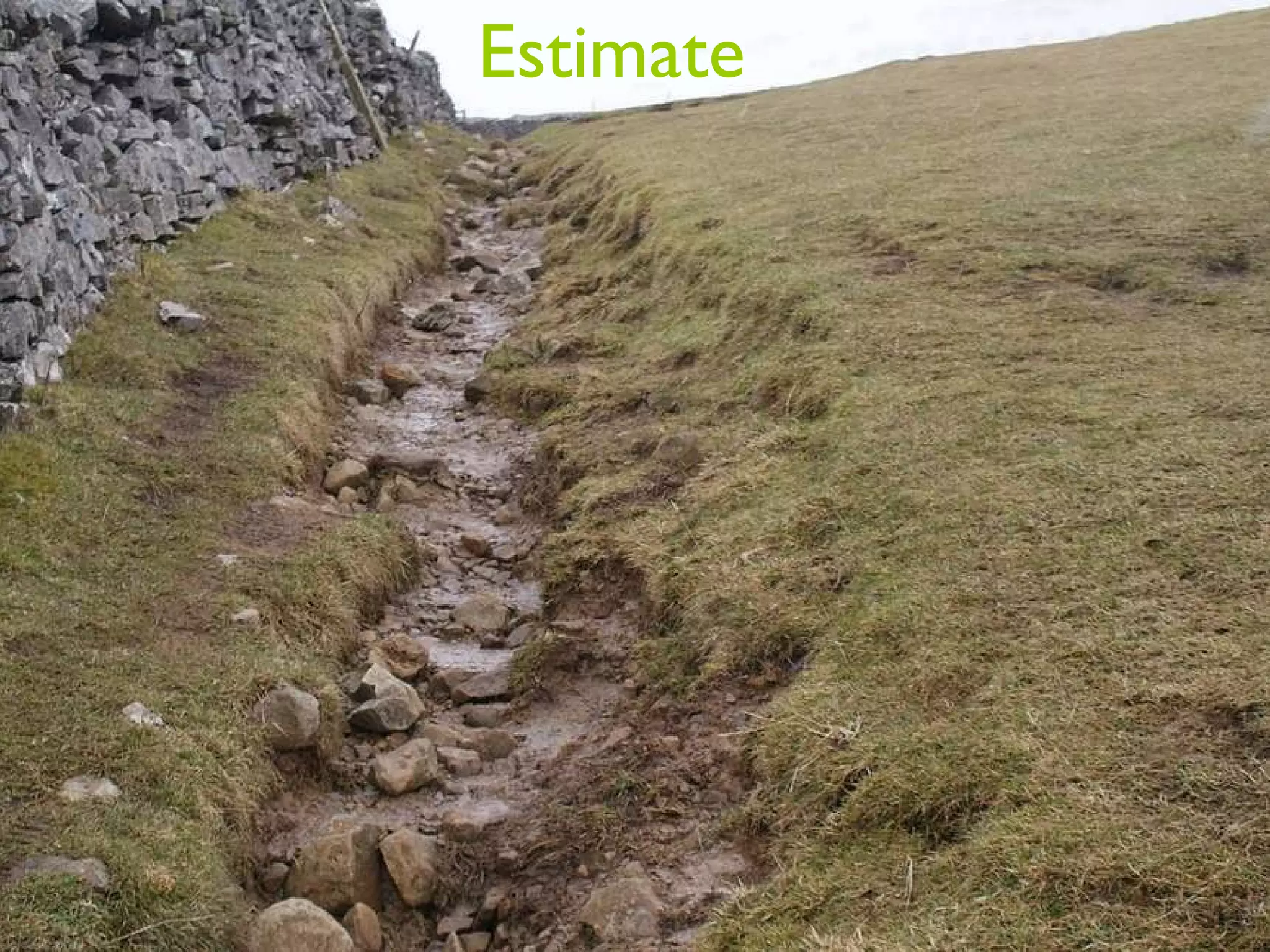 Estimate 