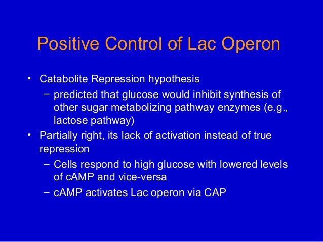 operon hypothesis Operon a functionally integrated genetic unit for the control of gene expression in bacteria, as proposed in the jacob–monod hypothesis typically it comprises a closely linked group of structural genes , coding for protein, and adjacent loci controlling their expression – an operator site and a promoter site . operon hypothesis Operon a functionally integrated genetic unit for the control of gene expression in bacteria, as proposed in the jacob–monod hypothesis typically it comprises a closely linked group of structural genes , coding for protein, and adjacent loci controlling their expression – an operator site and a promoter site .