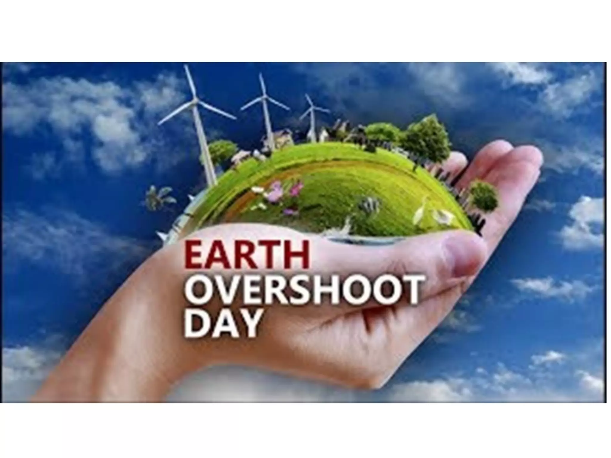 School ecological Footprint