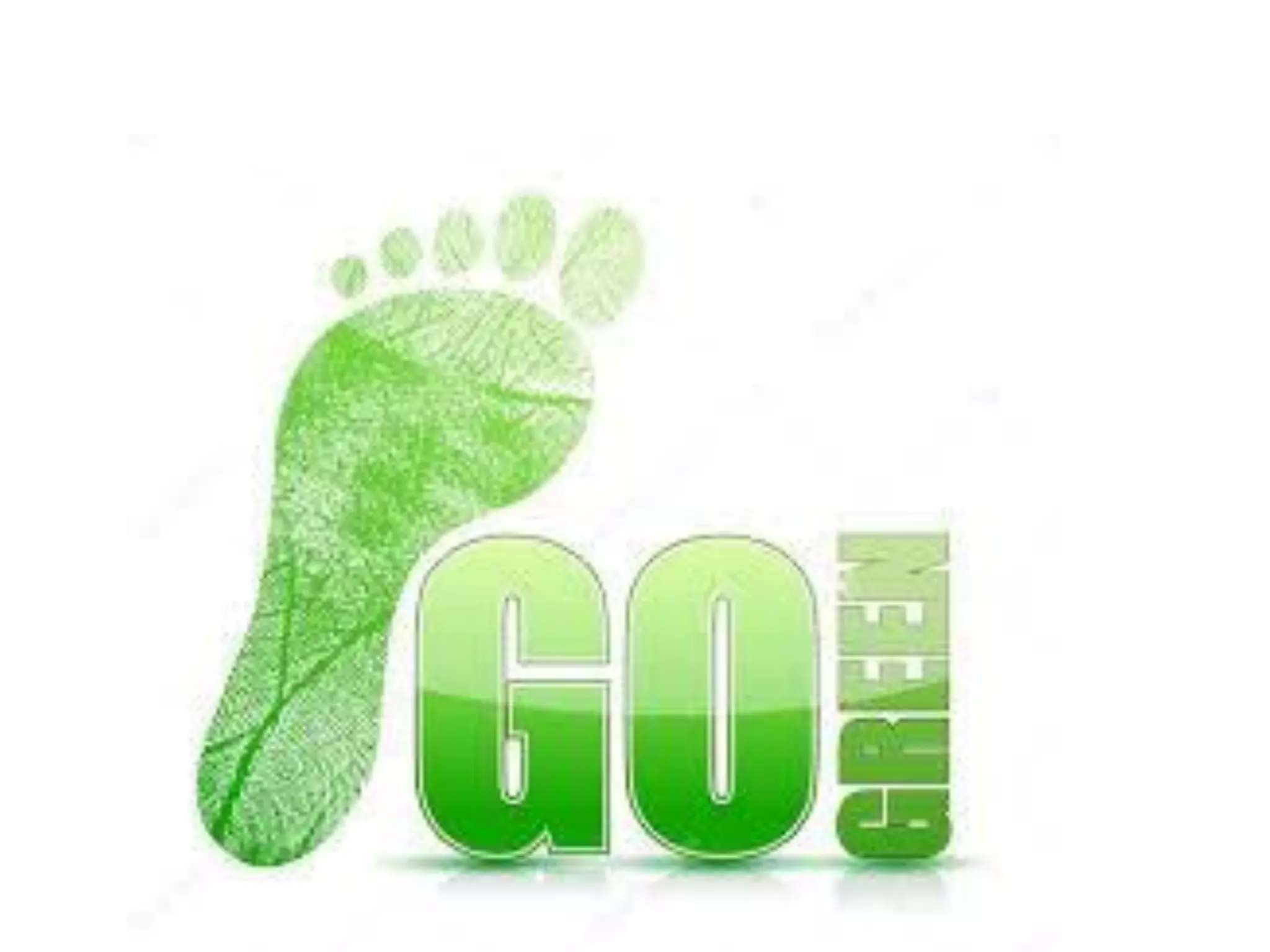 School ecological Footprint