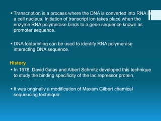  Transcription is a process where the DNA is converted into RNA in
a cell nucleus. Initiation of transcript ion takes place when the
enzyme RNA polymerase binds to a gene sequence known as
promoter sequence.
 DNA footprinting can be used to identify RNA polymerase
interacting DNA sequence.
History
 In 1978, David Galas and Albert Schmitz developed this technique
to study the binding specificity of the lac repressor protein.
 It was originally a modification of Maxam Gilbert chemical
sequencing technique.
 