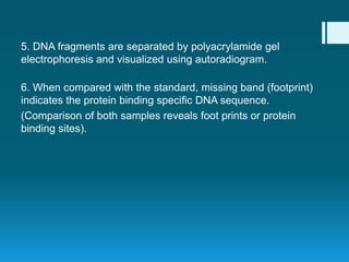 5. DNA fragments are separated by polyacrylamide gel
electrophoresis and visualized using autoradiogram.
6. When compared with the standard, missing band (footprint)
indicates the protein binding specific DNA sequence.
(Comparison of both samples reveals foot prints or protein
binding sites).
 