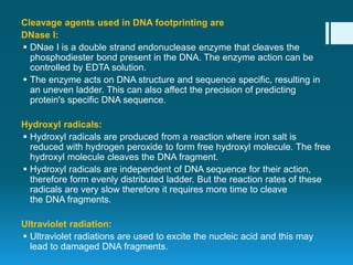 Cleavage agents used in DNA footprinting are
DNase I:
 DNae I is a double strand endonuclease enzyme that cleaves the
phosphodiester bond present in the DNA. The enzyme action can be
controlled by EDTA solution.
 The enzyme acts on DNA structure and sequence specific, resulting in
an uneven ladder. This can also affect the precision of predicting
protein's specific DNA sequence.
Hydroxyl radicals:
 Hydroxyl radicals are produced from a reaction where iron salt is
reduced with hydrogen peroxide to form free hydroxyl molecule. The free
hydroxyl molecule cleaves the DNA fragment.
 Hydroxyl radicals are independent of DNA sequence for their action,
therefore form evenly distributed ladder. But the reaction rates of these
radicals are very slow therefore it requires more time to cleave
the DNA fragments.
Ultraviolet radiation:
 Ultraviolet radiations are used to excite the nucleic acid and this may
lead to damaged DNA fragments.
 