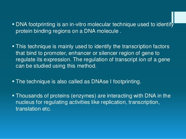 DNA footprinting