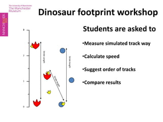Dinosaur footprint workshop Students are asked to ,[object Object]