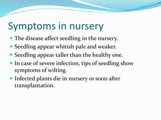Image showcasing Causes and Risk Factors for Infection: Understanding When Infections Occur