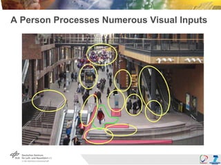 A Person Processes Numerous Visual Inputs
 