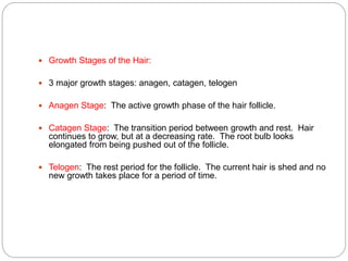  Growth Stages of the Hair:
 3 major growth stages: anagen, catagen, telogen
 Anagen Stage: The active growth phase of the hair follicle.
 Catagen Stage: The transition period between growth and rest. Hair
continues to grow, but at a decreasing rate. The root bulb looks
elongated from being pushed out of the follicle.
 Telogen: The rest period for the follicle. The current hair is shed and no
new growth takes place for a period of time.
 