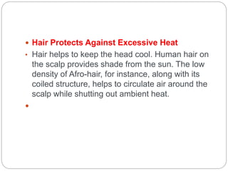  Hair Protects Against Excessive Heat
• Hair helps to keep the head cool. Human hair on
the scalp provides shade from the sun. The low
density of Afro-hair, for instance, along with its
coiled structure, helps to circulate air around the
scalp while shutting out ambient heat.

 