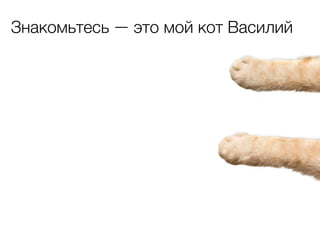 Знакомьтесь ― это мой кот Василий

 