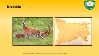 Deerskin
S. M. Murshidur Rahman, Khulna University of Engineering & Technology (KUET).
 