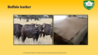 Buffalo leather
S. M. Murshidur Rahman, Khulna University of Engineering & Technology (KUET).
 