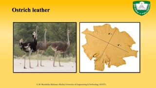 Ostrich leather
S. M. Murshidur Rahman, Khulna University of Engineering & Technology (KUET).
 
