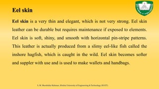 Eel skin
Eel skin is a very thin and elegant, which is not very strong. Eel skin
leather can be durable but requires maintenance if exposed to elements.
Eel skin is soft, shiny, and smooth with horizontal pin-stripe patterns.
This leather is actually produced from a slimy eel-like fish called the
inshore hagfish, which is caught in the wild. Eel skin becomes softer
and suppler with use and is used to make wallets and handbags.
S. M. Murshidur Rahman, Khulna University of Engineering & Technology (KUET).
 