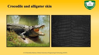 Crocodile and alligator skin
S. M. Murshidur Rahman, Khulna University of Engineering & Technology (KUET).
 