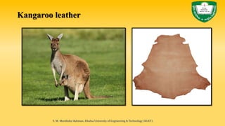 Kangaroo leather
S. M. Murshidur Rahman, Khulna University of Engineering & Technology (KUET).
 