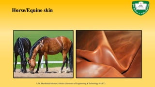 Horse/Equine skin
S. M. Murshidur Rahman, Khulna University of Engineering & Technology (KUET).
 