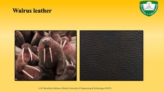 Walrus leather
S. M. Murshidur Rahman, Khulna University of Engineering & Technology (KUET).
 
