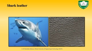Shark leather
S. M. Murshidur Rahman, Khulna University of Engineering & Technology (KUET).
 