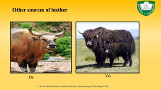 Ox Yak
Other sources of leather
S. M. Murshidur Rahman, Khulna University of Engineering & Technology (KUET).
 