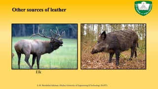 Elk
Other sources of leather
S. M. Murshidur Rahman, Khulna University of Engineering & Technology (KUET).
 