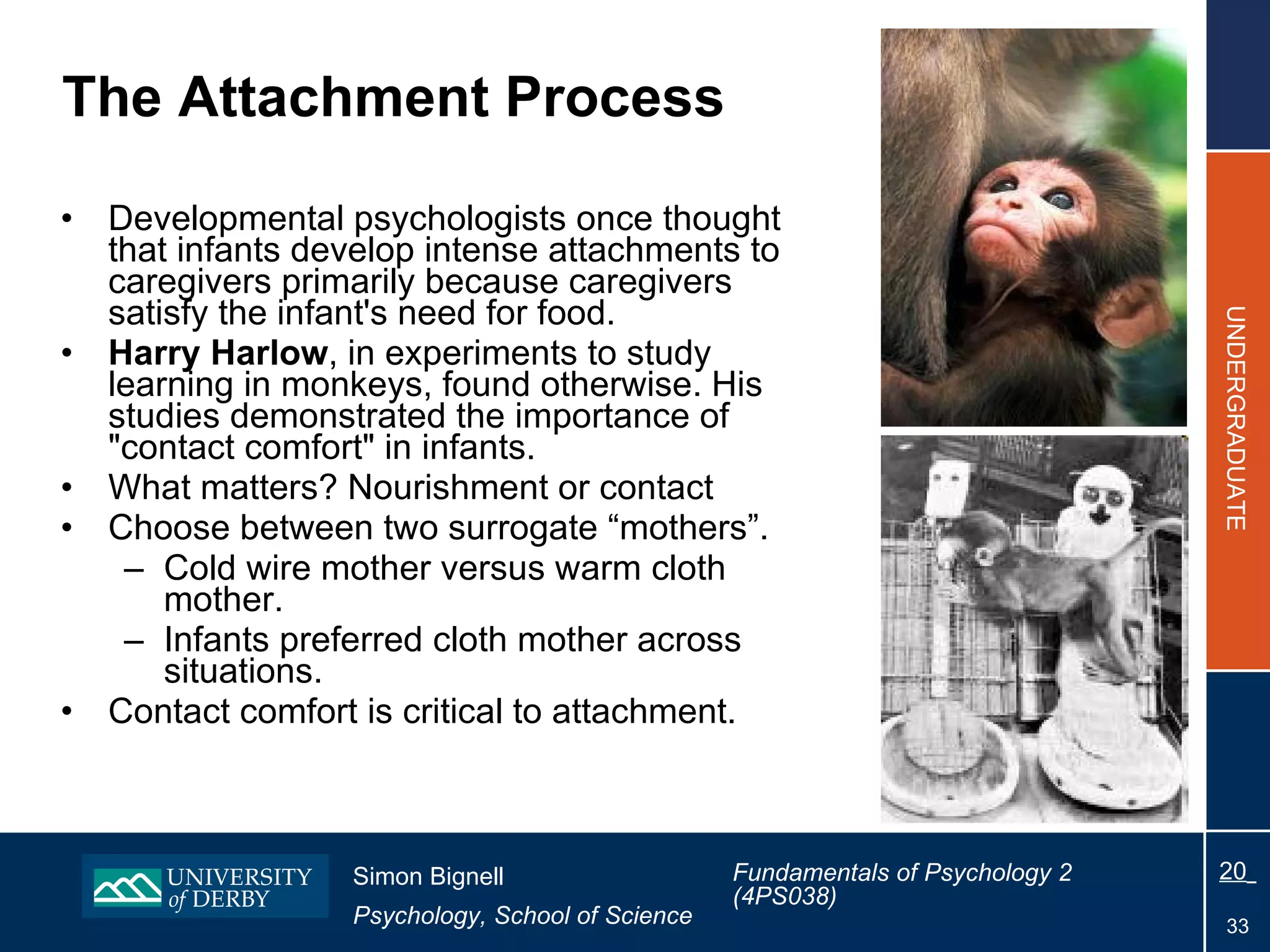 The Attachment Process Developmental psychologists once thought that infants develop intense attachments to caregivers primarily because caregivers satisfy the infant's need for food.  Harry Harlow , in experiments to study learning in monkeys, found otherwise. His studies demonstrated the importance of &quot;contact comfort&quot; in infants. What matters? Nourishment or contact Choose between two surrogate “mothers”. Cold wire mother versus warm cloth mother. Infants preferred cloth mother across situations. Contact comfort is critical to attachment. 
