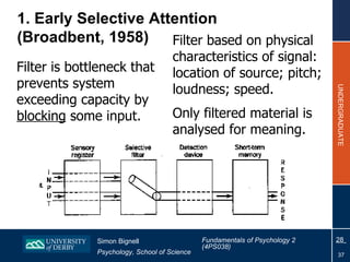 1. Early Selective Attention  (Broadbent, 1958) <ul><li>Filter is bottleneck that prevents system exceeding capacity by  b...
