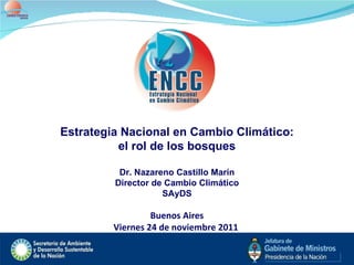 Estrategia Nacional en Cambio Climático: el rol de los bosques Dr. Nazareno Castillo Marín Director de Cambio Climático SAyDS Buenos Aires Viernes 24 de noviembre 2011  