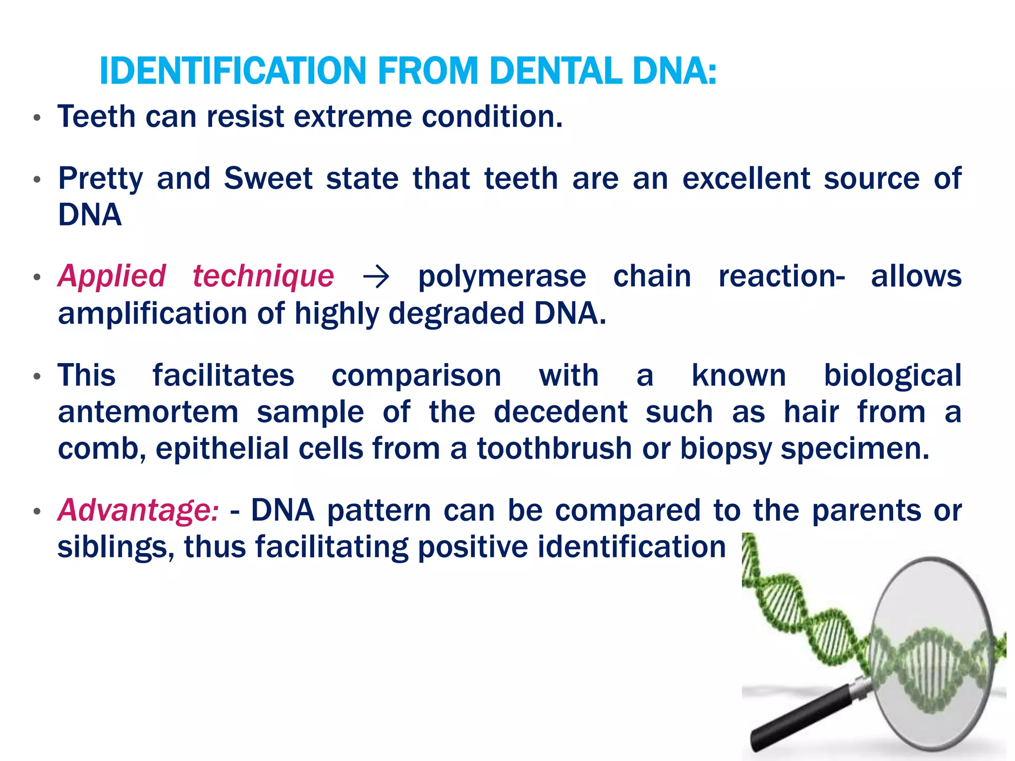IDENTIFICATION FROM DENTAL DNA:
• Teeth can resist extreme condition.
• Pretty and Sweet state that teeth are an excellent source of
DNA
• Applied technique → polymerase chain reaction- allows
amplification of highly degraded DNA.
• This facilitates comparison with a known biological
antemortem sample of the decedent such as hair from a
comb, epithelial cells from a toothbrush or biopsy specimen.
• Advantage: - DNA pattern can be compared to the parents or
siblings, thus facilitating positive identification
 