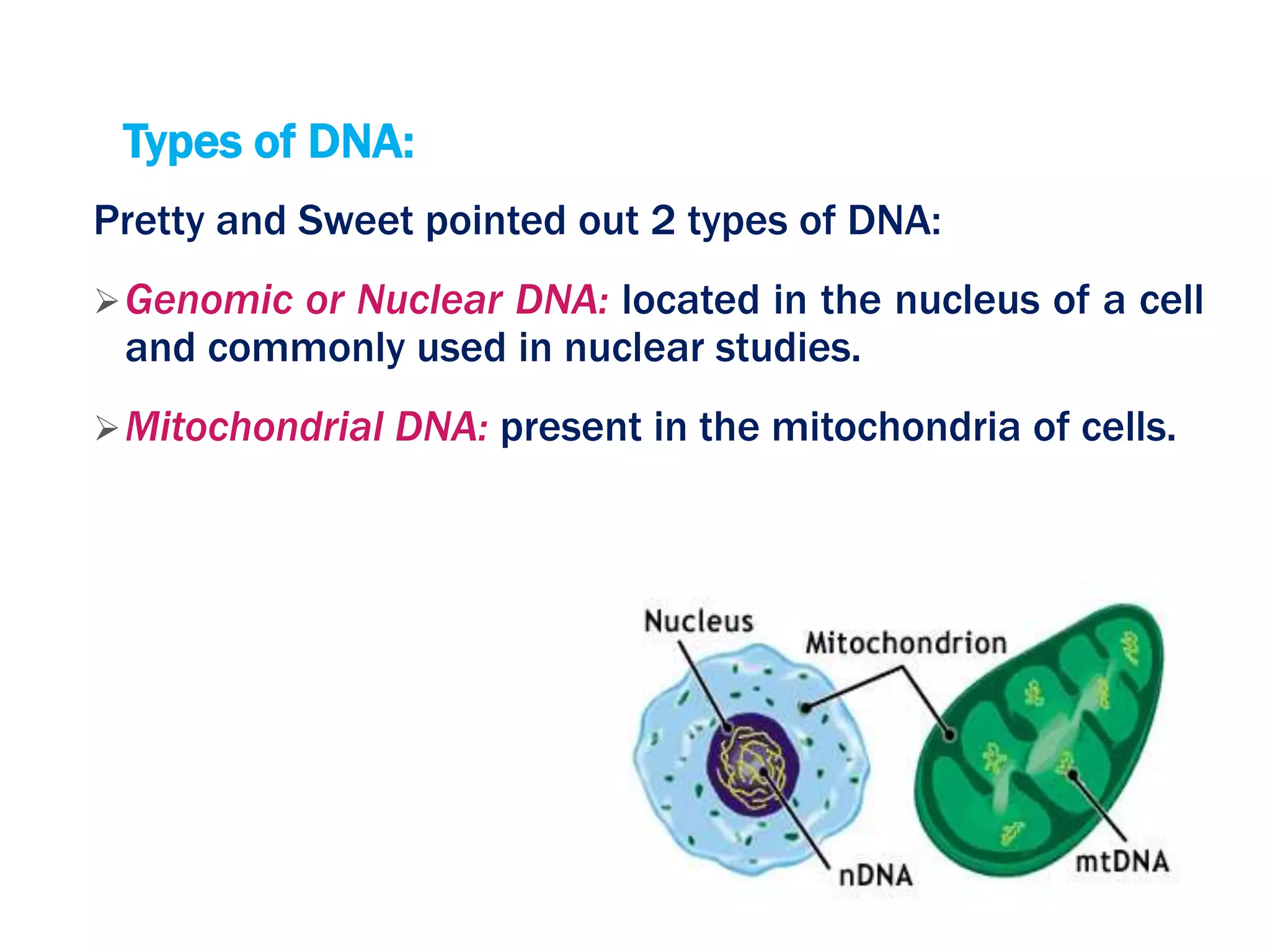 Types of DNA:
Pretty and Sweet pointed out 2 types of DNA:
Genomic or Nuclear DNA: located in the nucleus of a cell
and commonly used in nuclear studies.
Mitochondrial DNA: present in the mitochondria of cells.
 