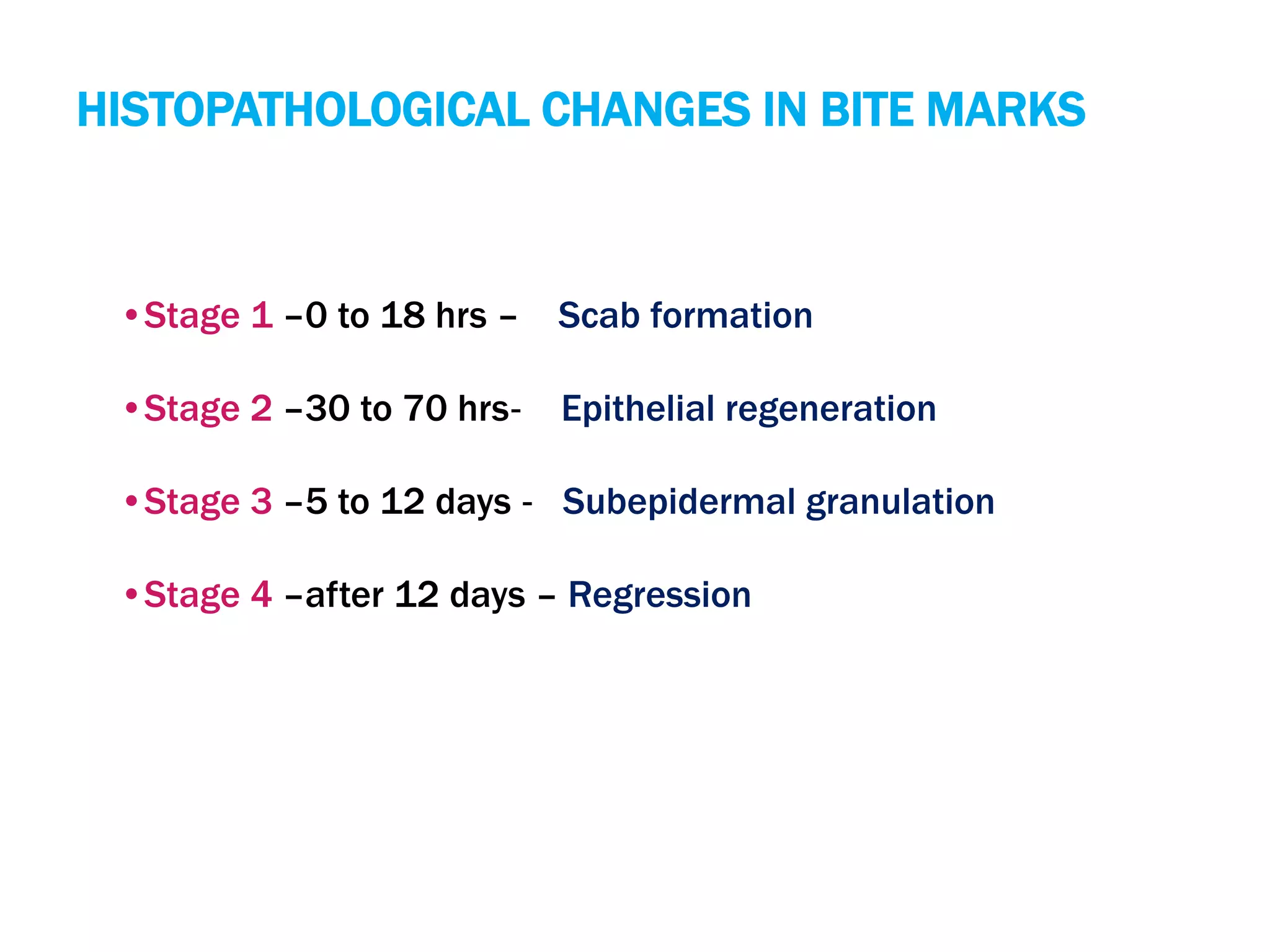 HISTOPATHOLOGICAL CHANGES IN BITE MARKS
•Stage 1 –0 to 18 hrs – Scab formation
•Stage 2 –30 to 70 hrs‐ Epithelial regeneration
•Stage 3 –5 to 12 days ‐ Subepidermal granulation
•Stage 4 –after 12 days – Regression
 