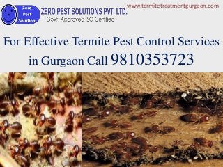 For Effective Termite Pest Control Services
in Gurgaon Call 9810353723
www.termitetreatmentgurgaon.com
 