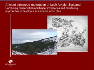 Ancient pinewood restoration at Loch Arkaig, Scotland:
Combining conservation and timber inventories and monitoring
approaches to develop a sustainable forest plan.
1
 