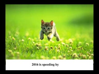 2016 is speeding by
 