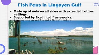 understanding Fish Pens and cages in Aquaculture | PPTX