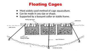understanding Fish Pens and cages in Aquaculture | PPTX