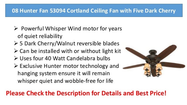 Top 10 Best Fan