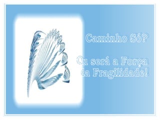 Caminho Só? Ou será a Força da Fragilidade! 
