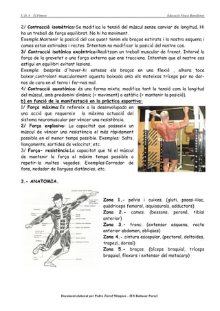 U.D. 4   El Fitness                                                                      Educació Física Batxillerat


2/ Contracció isomètrica:Se modifica la tensió del múscul sense canviar de longitud. Hi
ha un treball de força equilibrat. No hi ha moviment.
Exemple:Mantenir la posició del cos quant tenim els braços estirats i la nostra esquena i
cames estan estirades i rectes. Intentam no modificar la posició del nostre cos.
3/ Contracció isotònica excèntrica:Realitzam un treball muscular de frenat. Intervé la
força de la gravetat o una força externa que ens tracciona. Intentam que el nostre cos
estigui en equilibri evitant lesions.
Exemple: Desprès d´haver-hi estesos els braços en una flexió , alhora toca
baixar,controlant muscularment aquesta baixada amb els mateixos tríceps per no dar-
nos de cara en el terra i fer-nos mal.
4/ Contracció auxotònica: és una forma mixta; modifica tant la tensió com la longitud
del múscul, amb predomini dinàmic (= moviment) o estàtic (= mantenir la posició).
b) en funció de la manifestació en la pràctica esportiva:
1/ Força màxima:Es refereix a la desenvolupada en
una acció que requereix la màxima actuació del
sistema neuromuscular per vèncer una resistència.
2/ Força explosiva: La capacitat que posseeix un
múscul de vèncer una resistència el més ràpidament
possible en el menor temps possible. Exemples: Salts,
llançaments, sortides de velocitat, etc.
3/ Força- resistència:La capacitat que té el múscul
de mantenir la força el màxim temps possible o
repetir-la moltes vegades. Exemples:Corredor de
fons, nedador de llargues distàncies, etc.

3.- ANATOMIA.



                                                  Zona 1.- pelvis i cuixes. (gluti, psoas-iliac,
                                                  quàdriceps femoral, isquiosurals, adductors)
                                                  Zona 2.- cames. (bessons, peroné, tibial
                                                  anterior)
                                                  Zona 3.- tronc. (extensor esquena, recte
                                                  anterior abdomen, obliqües)
                                                  Zona 4.- cintura escapular. (pectoral, deltoides,
                                                  trapezi, dorsal)
                                                  Zona 5.- braços. (bíceps braquial, tríceps
                                                  braquial, flexors i extensor del metacarp)




                      Document elaborat per Pedro Zierof Mínguez – IES Baltasar Porcel
 